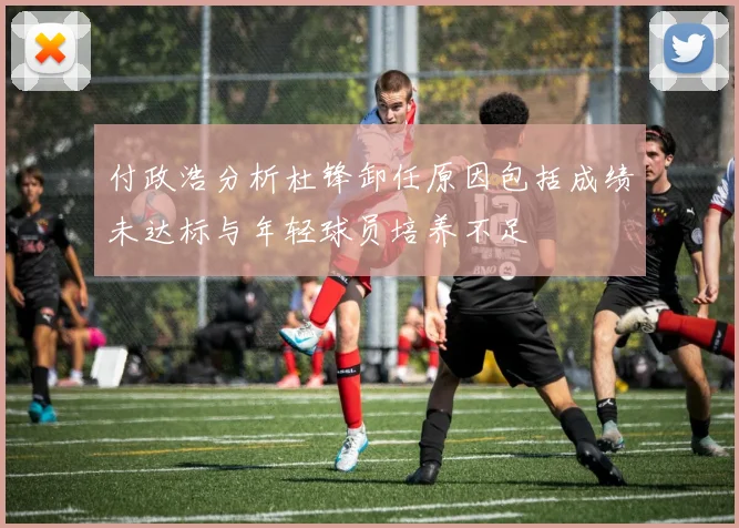 付政浩分析杜锋卸任原因包括成绩未达标与年轻球员培养不足