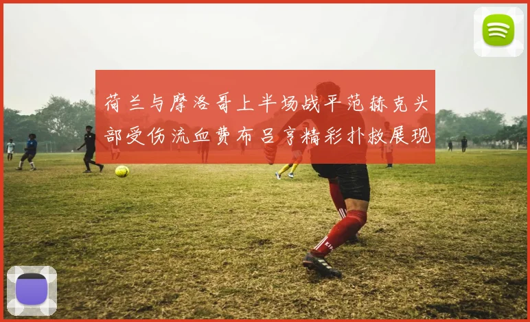 荷兰与摩洛哥上半场战平范赫克头部受伤流血费布吕亨精彩扑救展现实力